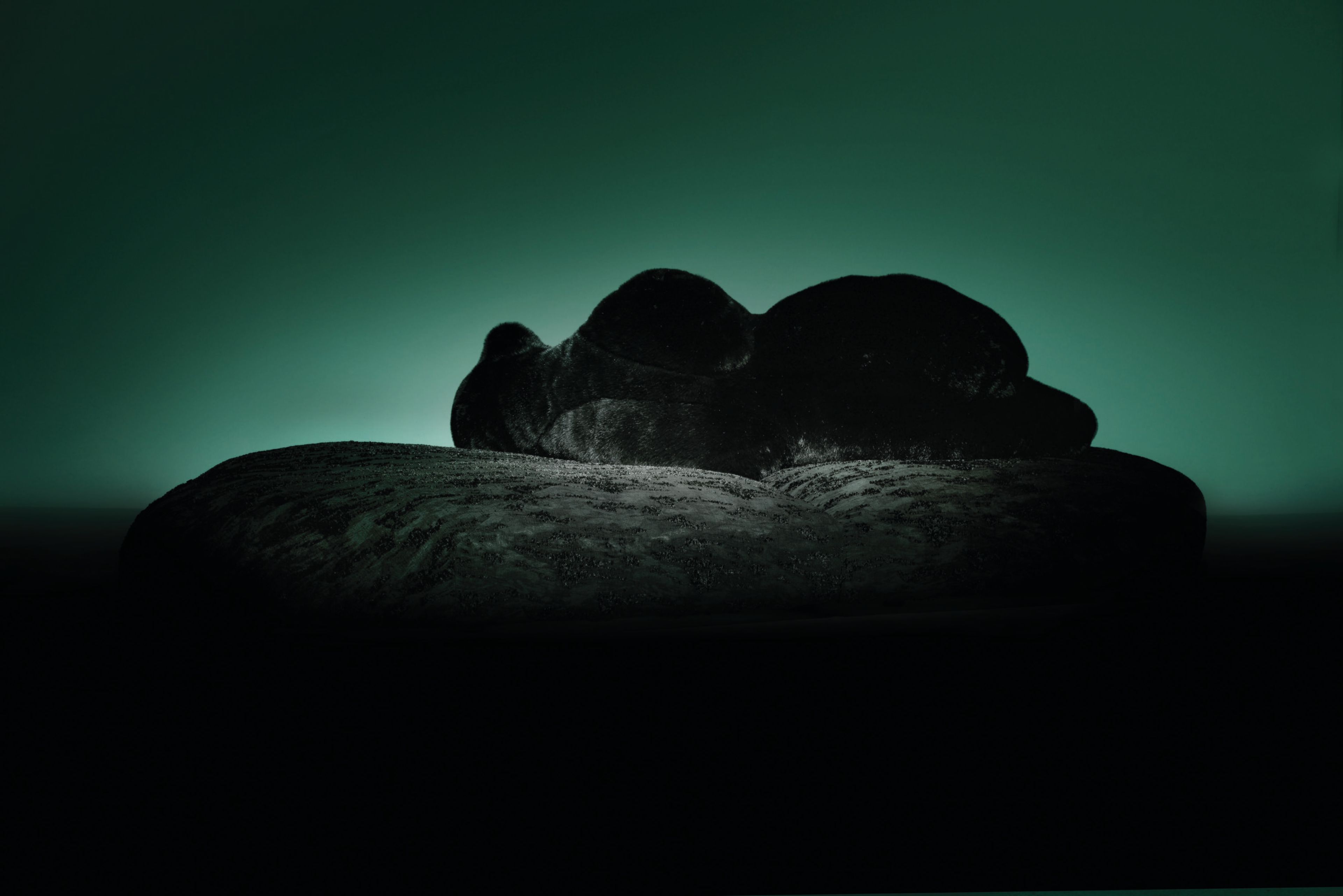 Диван Edra для интерьера ARCH-00124549 - Вид №10