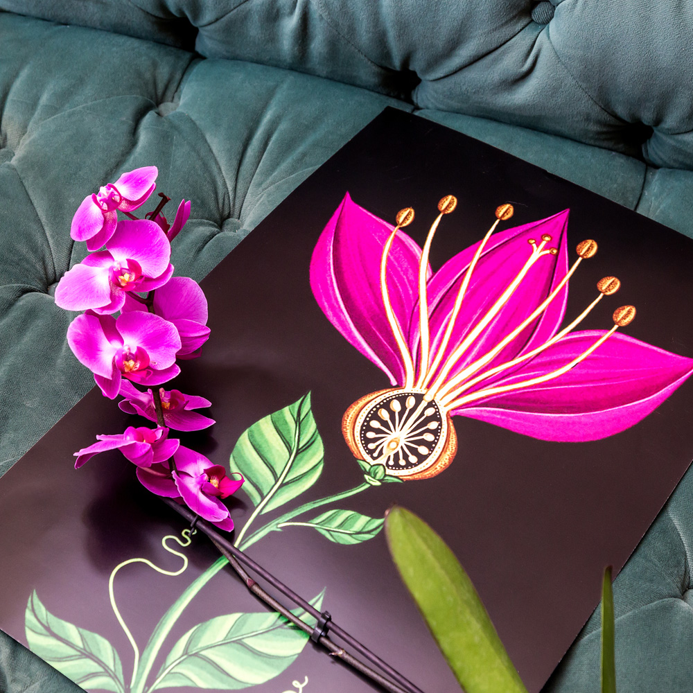 896518679_1818 Арт-постер "Pretty Exotic / Ночь" Object Desire  - Вид №1