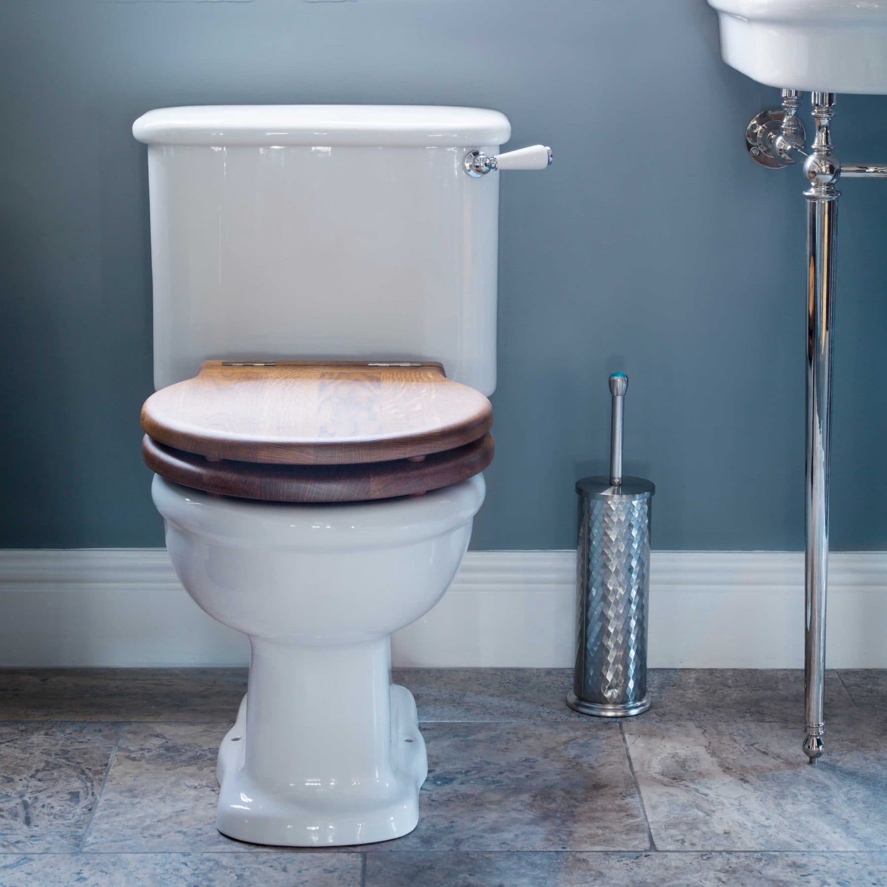 Ceramic Cisterns туалеты The Empress Close Coupled Catchpoleandrye  - Вид №2