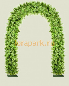 2999 Арка ЗИМНЯЯ-3 LAB.Space