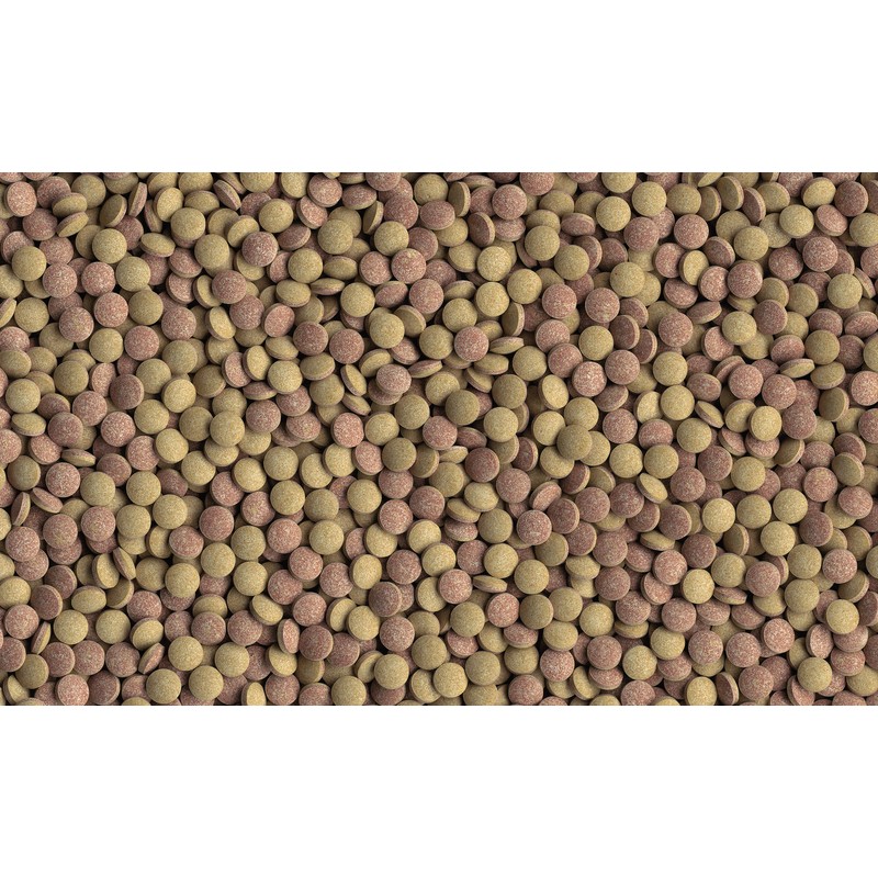 Т00017317 Корм для рыб Tablets TabiMin для всех видов донных рыб 1040таб TETRA  - Вид №3