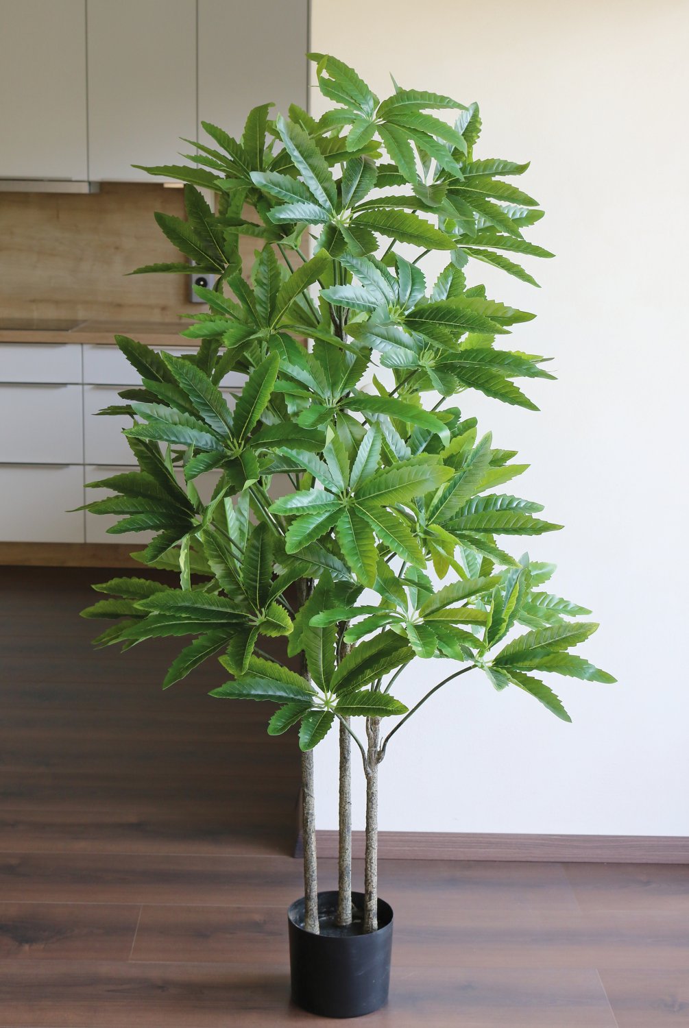 5481 883 a3 Искусственная шефлера, горшок, 160 см, зеленый H-andreas  - Вид №1