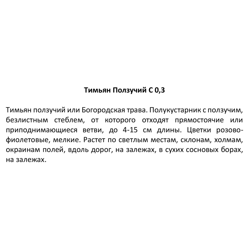 Тимьян Ползучий h15 см 84845150 STLM-2043715 Santreyd  - Вид №2