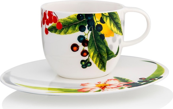 10645762 Rosenthal Набор чашек кофейных с блюдцем Rosenthal Фруктовый сад 200мл, фарфор, 6 шт Фарфор 