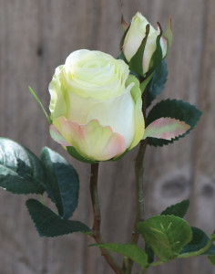 3295 788 a3 Шелковая роза, 1 цветок, 1 бутон, 45 см, бежево-зеленая H-andreas