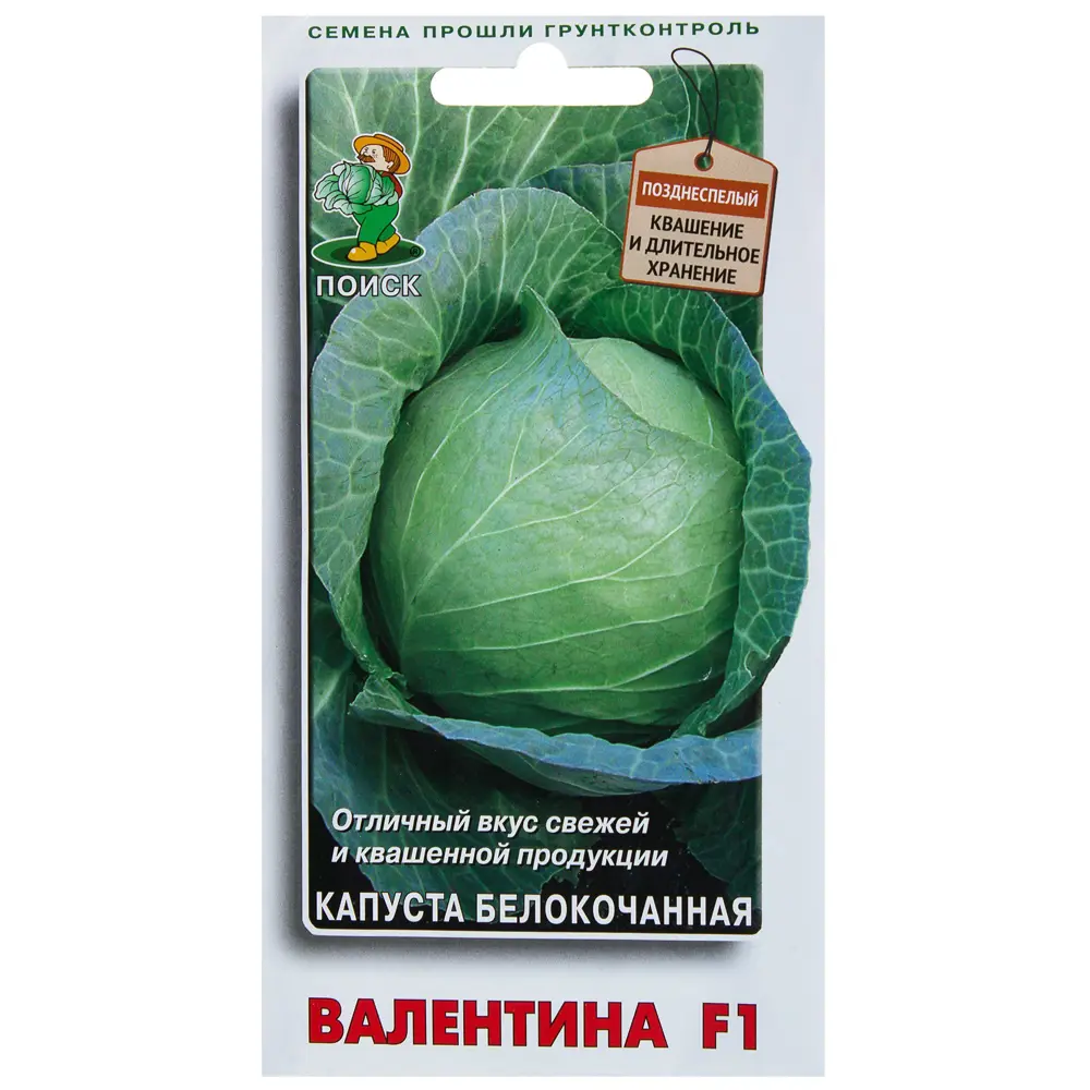 Семена Капуста белокочанная Валентина F1 Поиск 17229784 STLM-2108767 