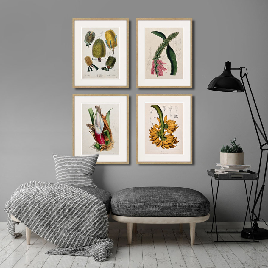 Картина в раме 52х42 см Exotic plants of the world №1, 1815г. КАРТИНЫ В КВАРТИРУ  264349 Зеленый;коричневый;разноцветный  - Вид №2