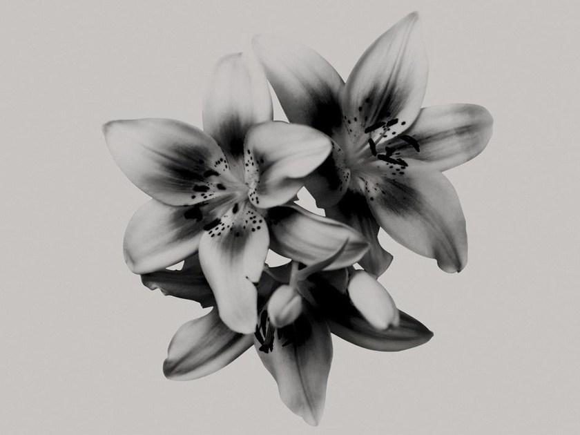 Wall&decò Дизайнерские обои с цветочными мотивами Contemporary wallpaper 2010 sun-id-1489786 - Вид №2