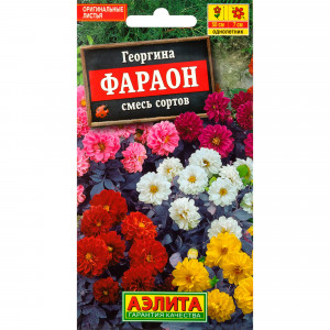 83495442 Семена Георгина изменчивая «Фараон» микс