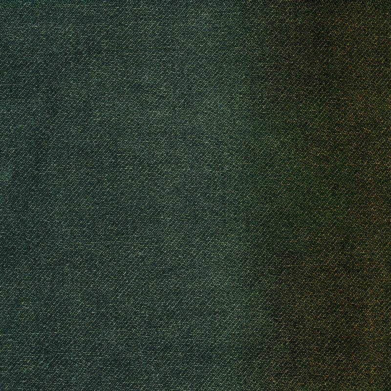 Бархатная однотонная ткань Élitis Palacio ARCH-00050120 - Вид №5