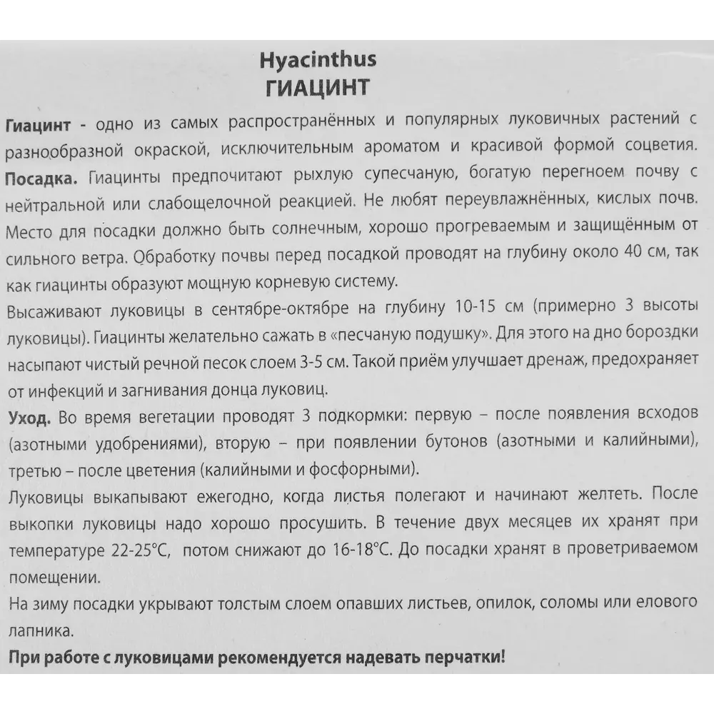 Гиацинт Питер Стайвесант от ПОИСК - фиолетовое великолепие в саду, 3 луковицы 85204916 STLM-1570134 - Вид №2