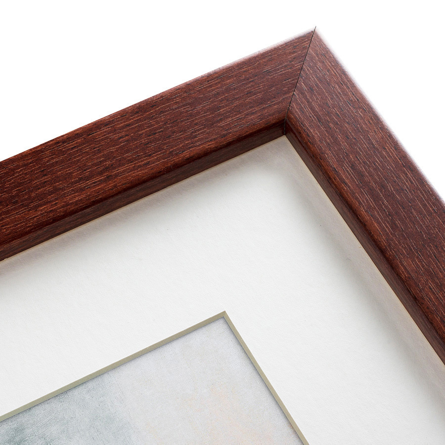 Картина: Tulp №1, 1815 КАРТИНЫ В КВАРТИРУ  135615 Разноцветный  - Вид №3