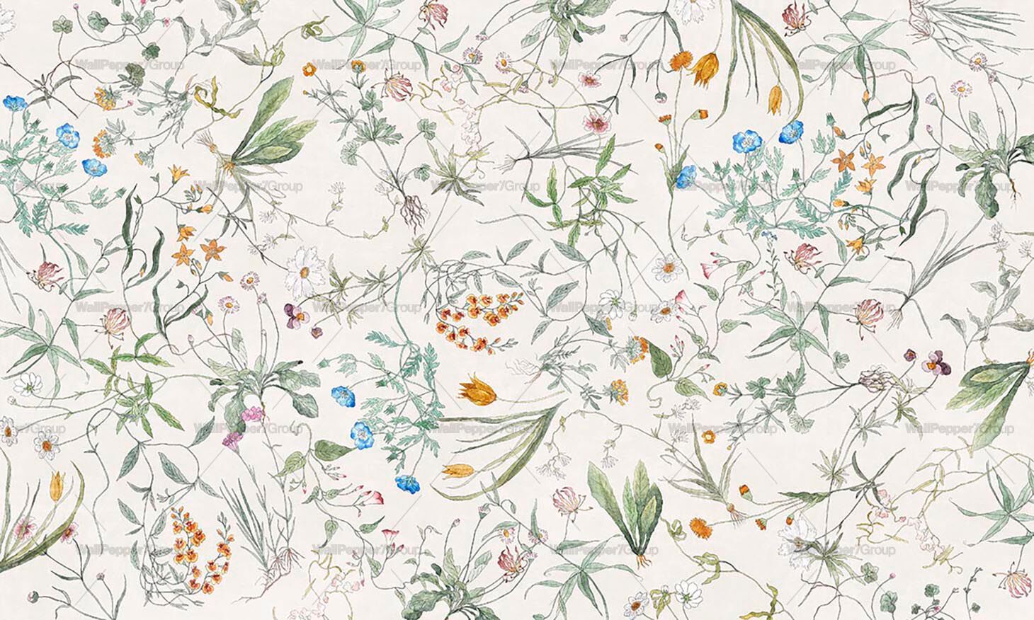 Обои из натурального ПВХ, экологически чистые, моющиеся WallPepper ERBARIO ARCH-00112823 - Вид №1