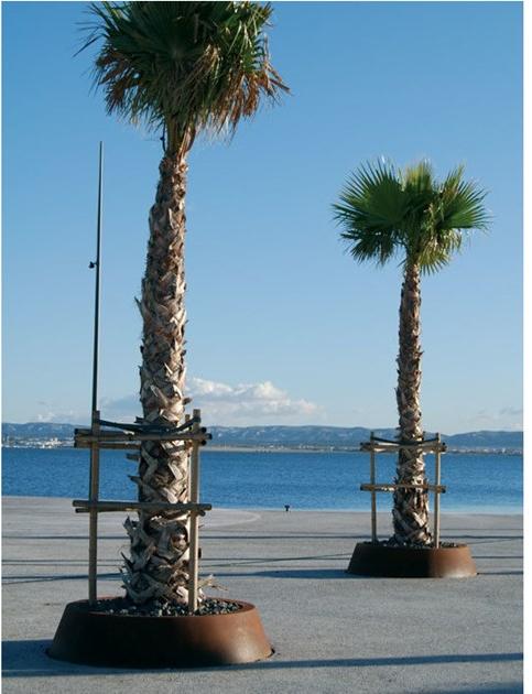 CYRIA Решетка для деревьев Corten ™ sun-id-1463831 - Вид №1