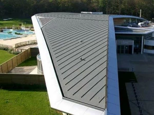 Derbigum Пароизоляция для кровли