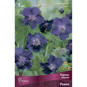 Герань темная Ревен 86410126 STLM-2042699