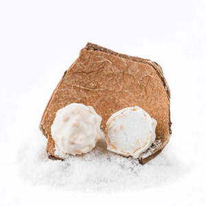 Конфеты Трюфель с кокосом CACAOJET