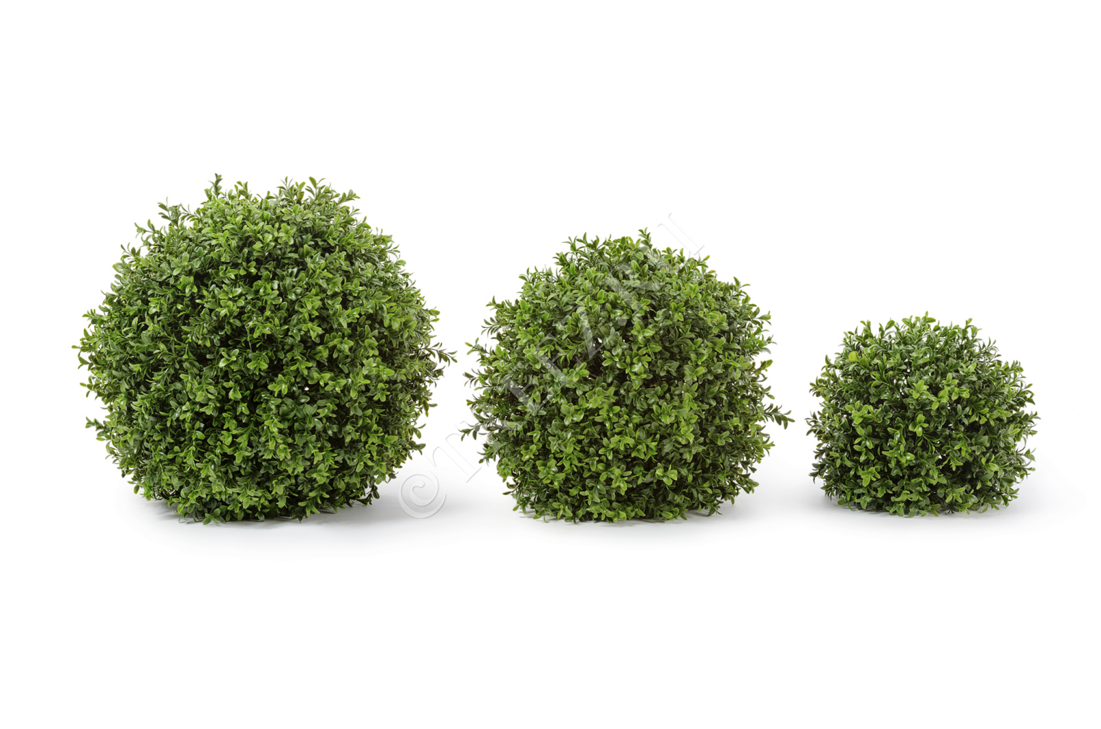 10.44620N Самшитовый шар (Декор) Цветочная коллекция 