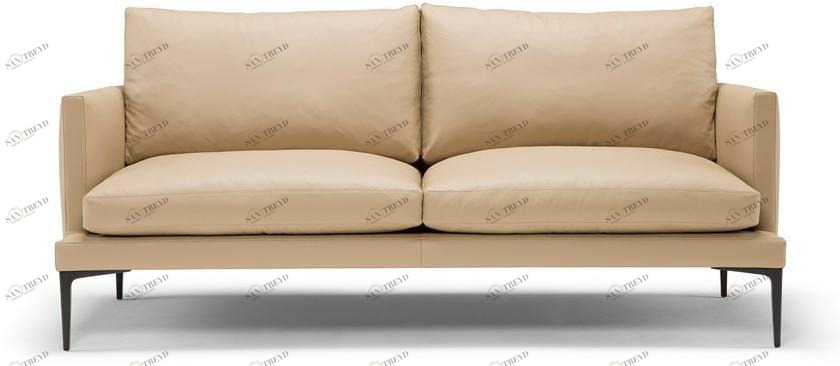 2-х местный кожаный диван Segno Am008.030 Santreyd