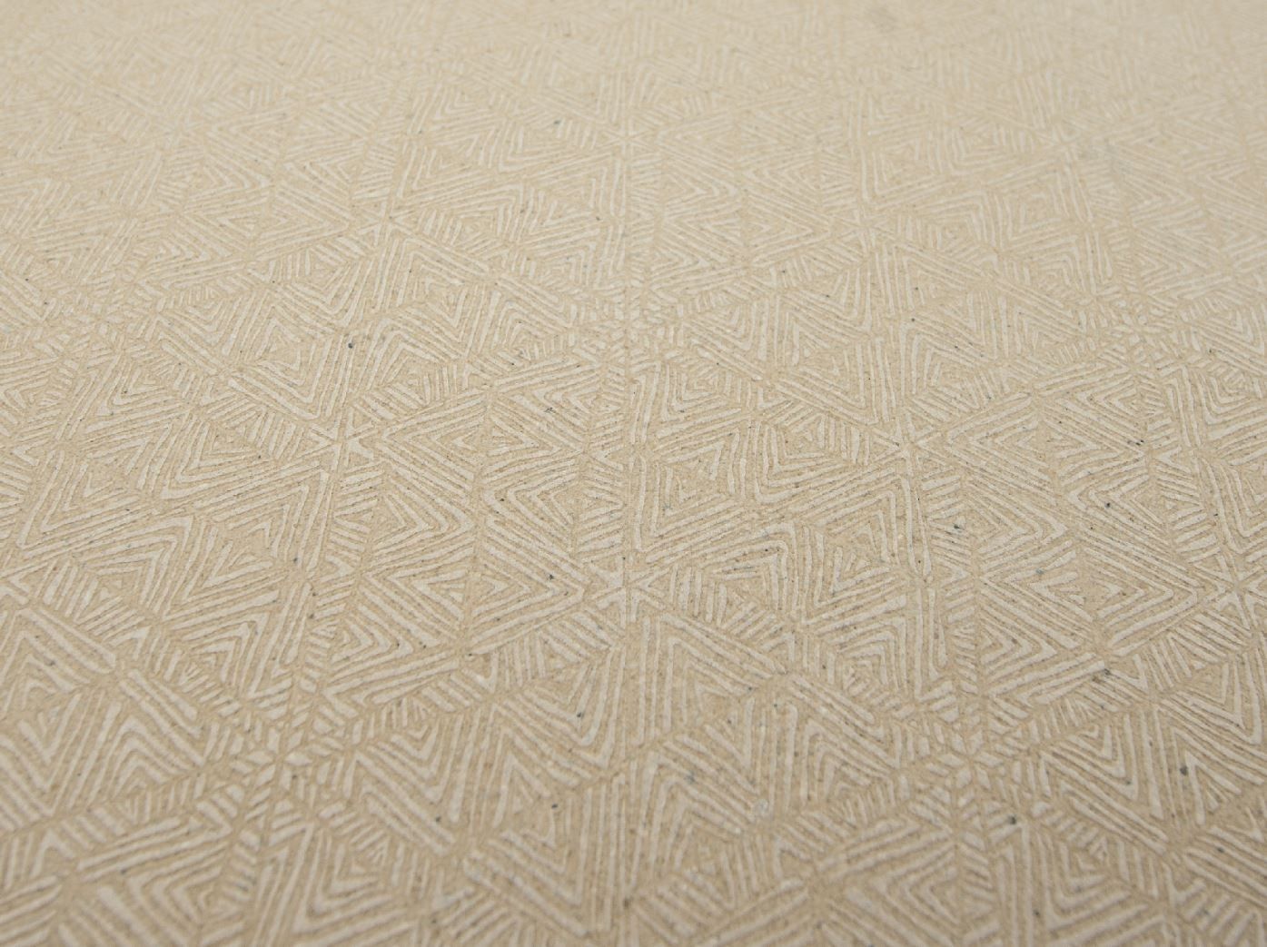 Покрытие из натурального камня TWS текстуры камня ARCH-00059539