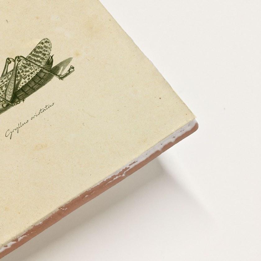 Groovy Magnets Настенный декоративный предмет из керамики Tiles M-tile-gr - Вид №2