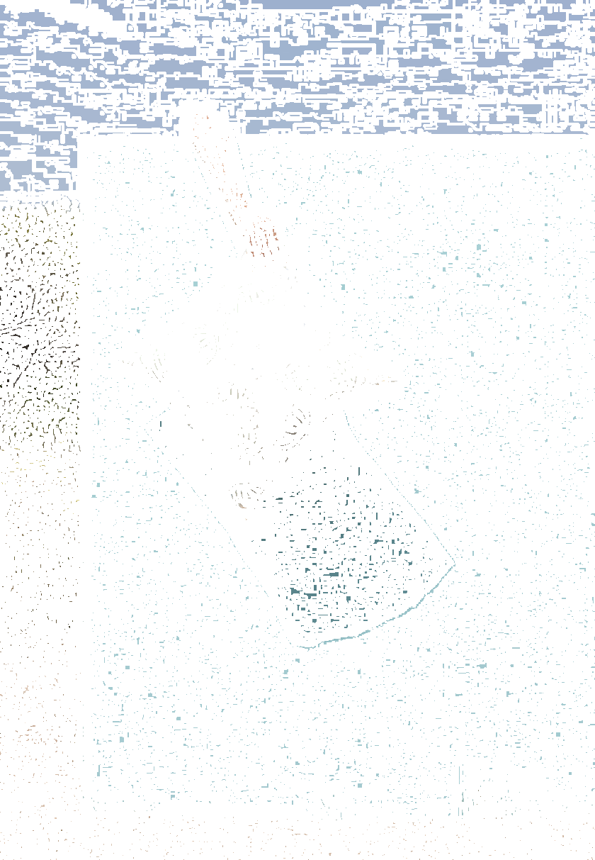 Equipo DRT Ткань из акриловой ткани для улицы Russafa sun-id-1382592 - Вид №7