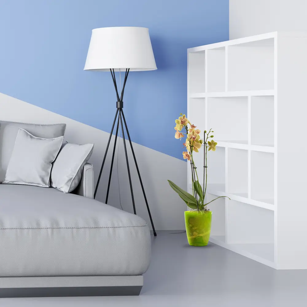 Santreyd Орхидея Фаленопсис - изящные цветки-бабочки для дома 82450358 STLM-0027414 - Вид №3