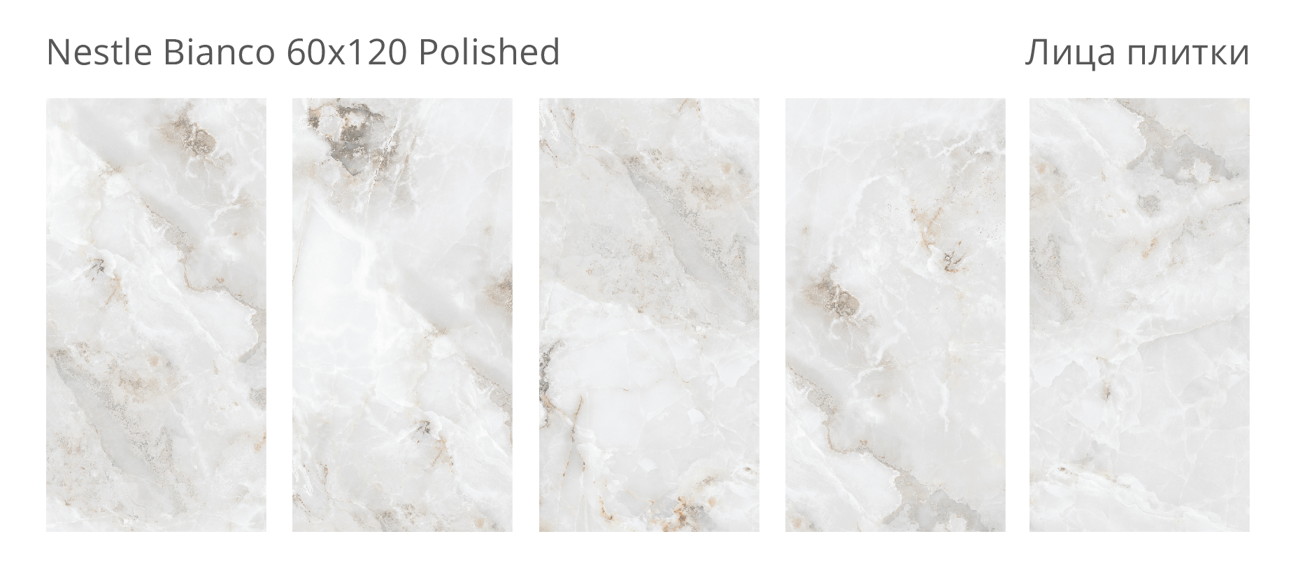 Элегантный керамогранит Palacio Nestle Bianco STP-ST492 INCOLOR - Вид №1