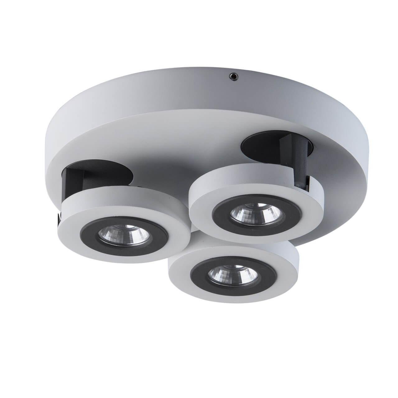 Спот потолочный белый De Markt "Астор 3" 545020903 DE MARKT АСТОР 00-3924001 Белый - Вид №1