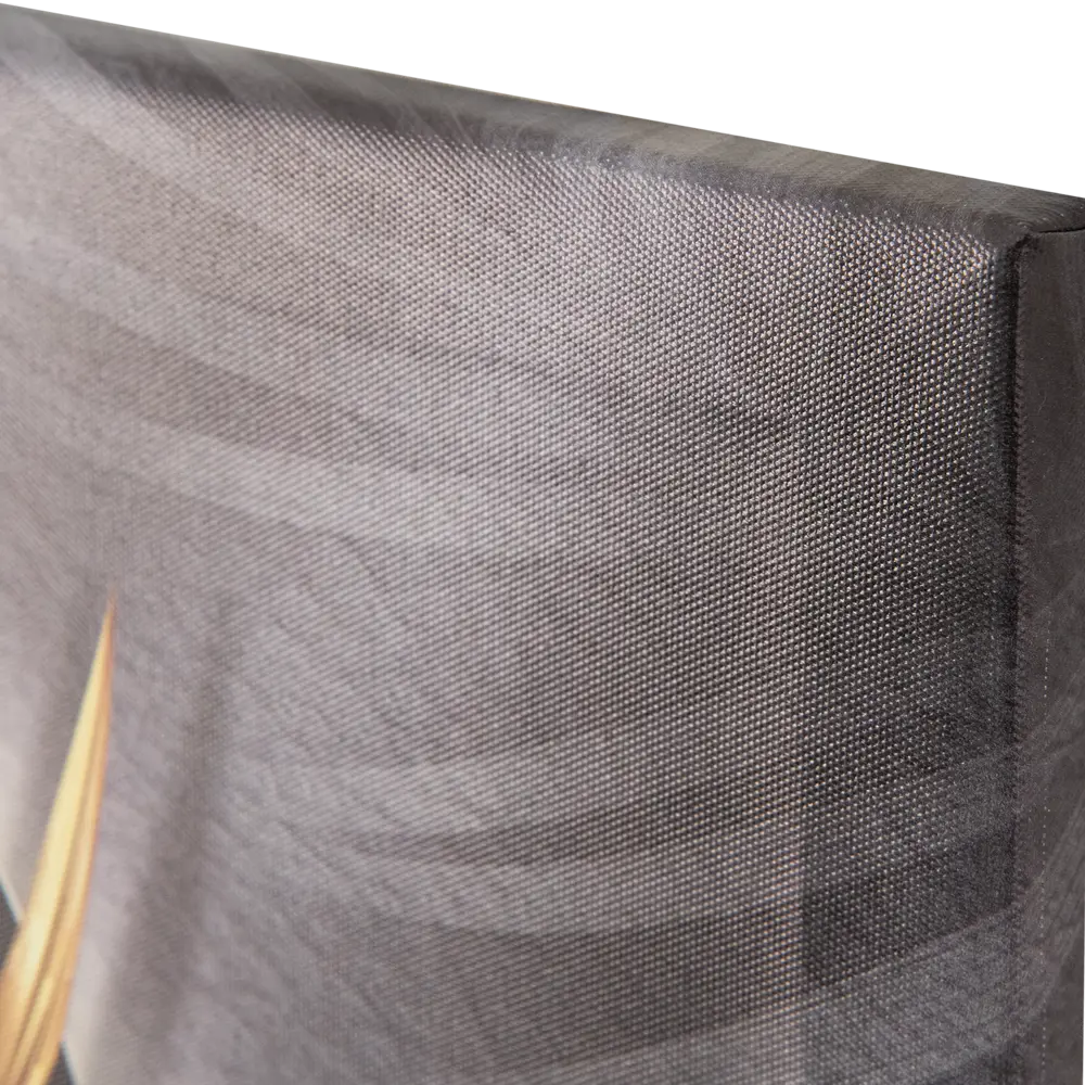 Картина на холсте Постер-лайн Папоротник 40x60 см STLM-2028379 - Вид №1