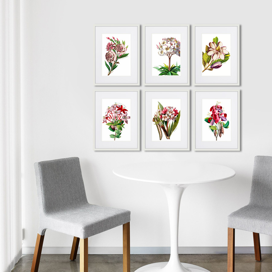Картина в раме 32х42 см Caribian Flora Red And Pink Flower, 1740г. КАРТИНЫ В КВАРТИРУ  264450 Зеленый;красный;розовый;разноцветный  - Вид №2