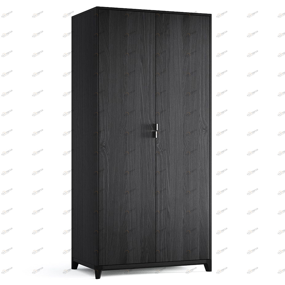 Шкаф двухдверный распашной черный Case №3 THE IDEA  210420 Черный 