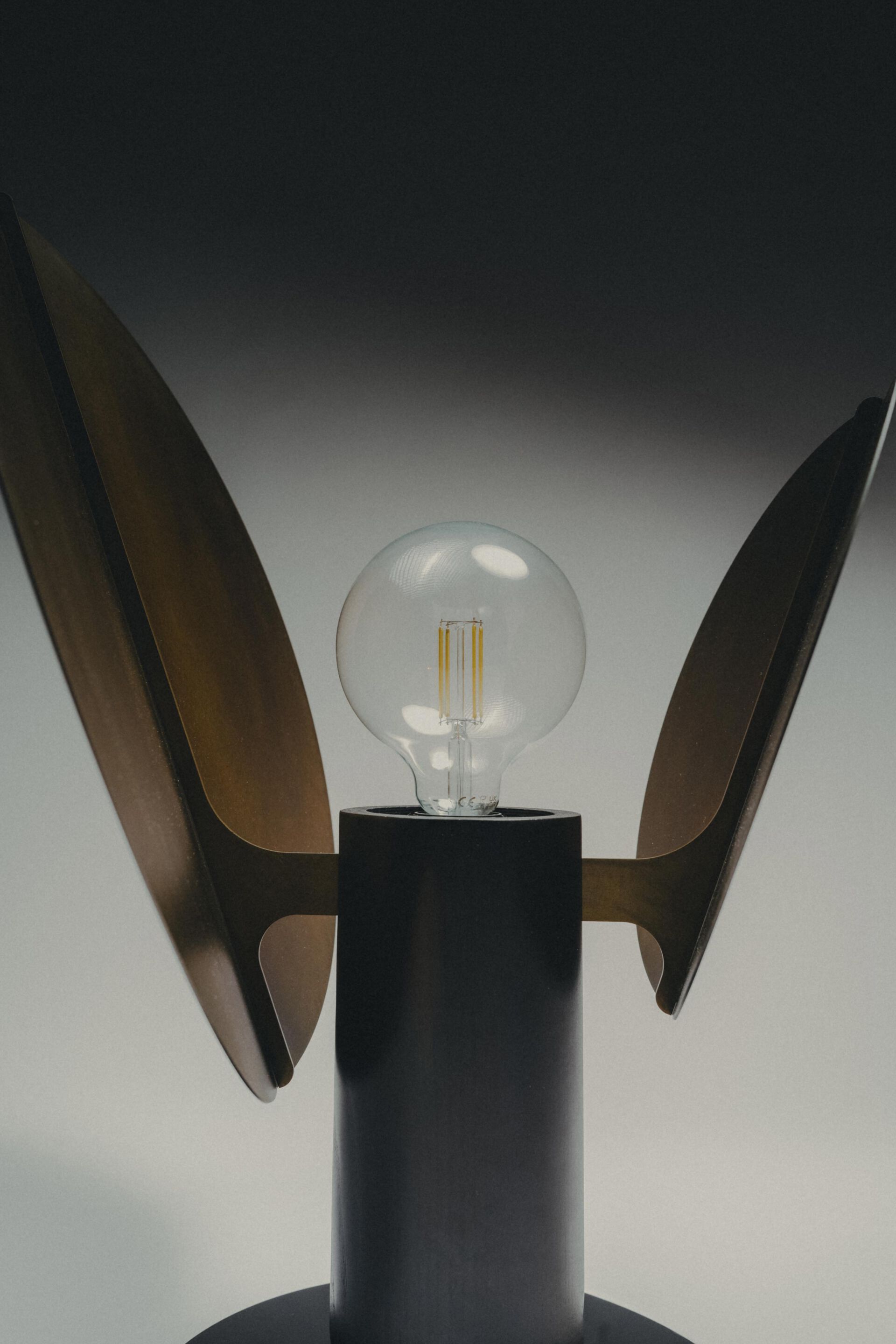 Настольная лампа с травлением железа ArmoniusLab FICUS ARCH-00014458 - Вид №8