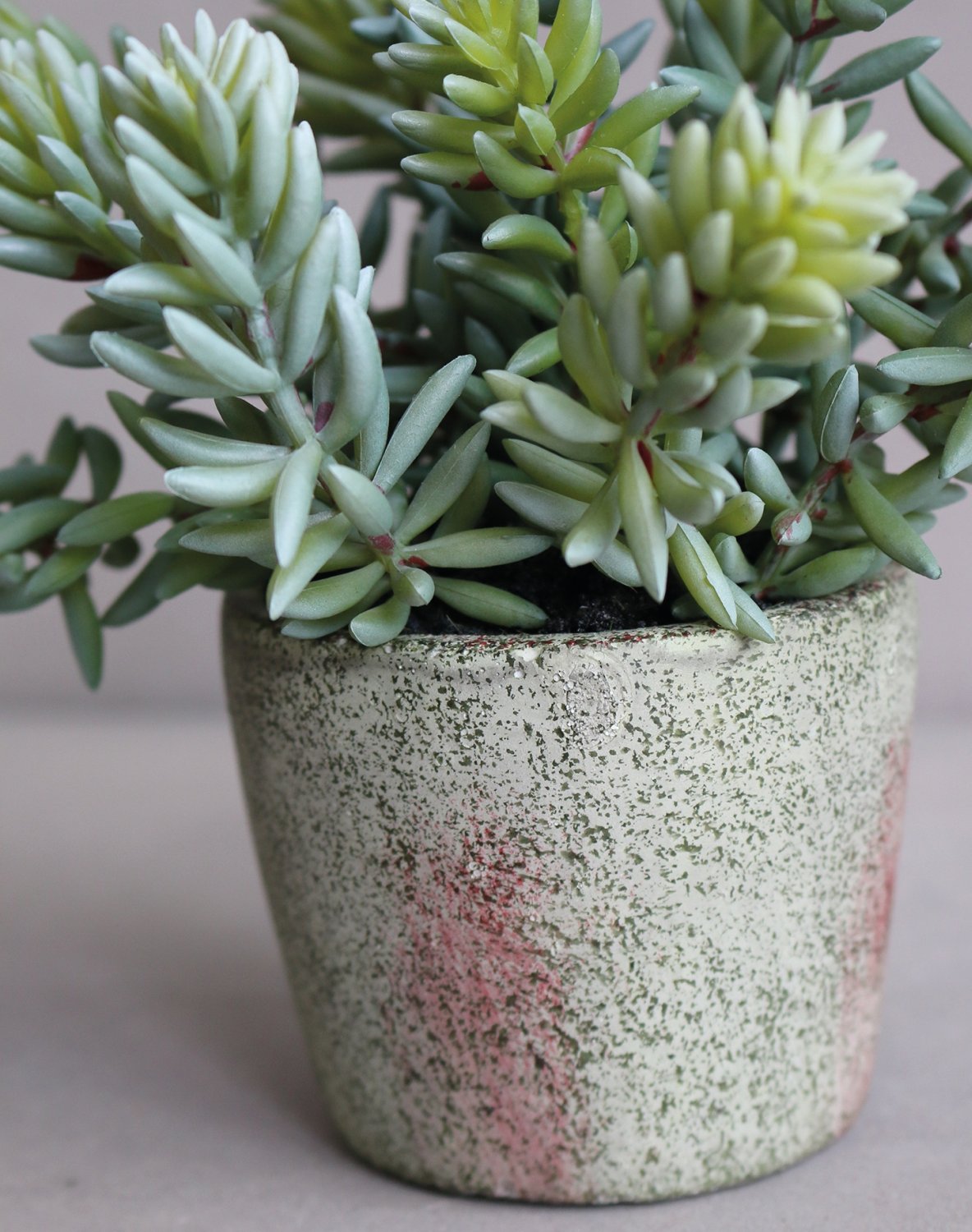 6103 883 a3 Искусственный суккулент, горшок, 19 см, зеленый H-andreas 