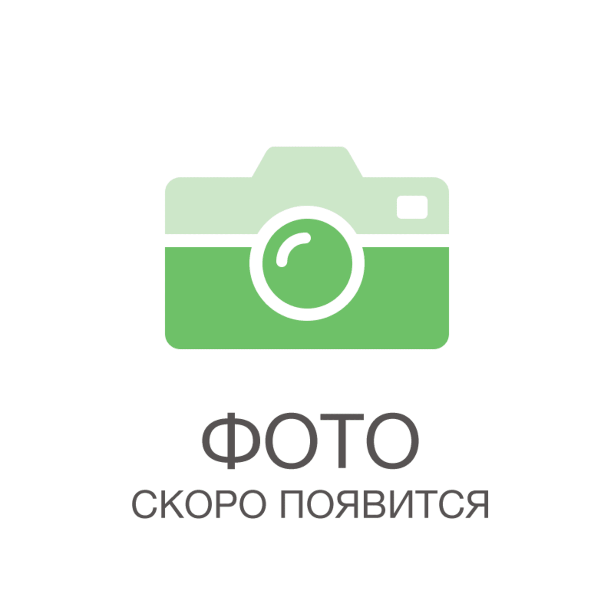 85326938 Мята Гранада ø15 h20 см Santreyd 