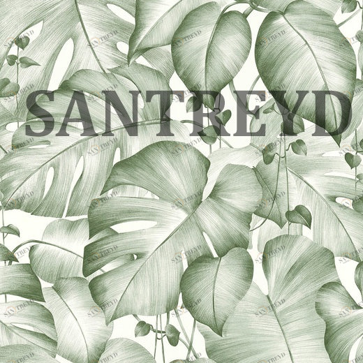 36627-2 Обои A.S. Creation Colibri 366272