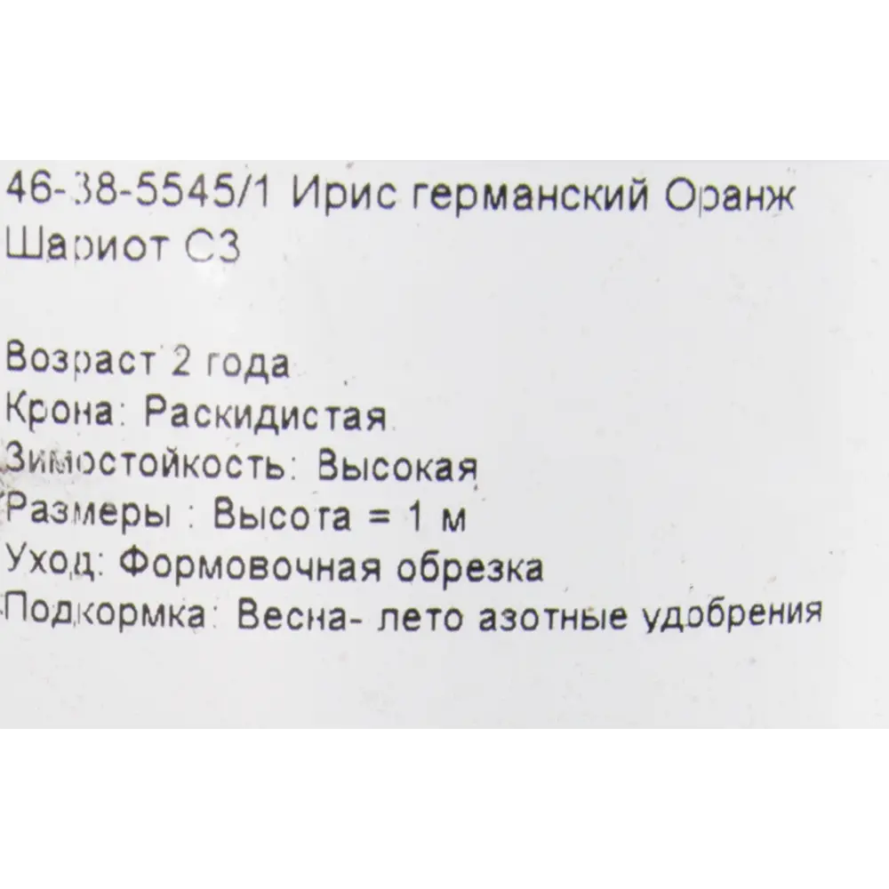 Ирис германский «Оранж Шариот» 15x75 см 82625233 STLM-2073336 PLANTMARKET  - Вид №1