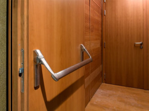 Деревянная акустическая противопожарная дверь