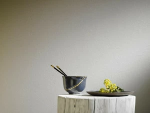 Novacolor Декоративная роспись Matmotion N300