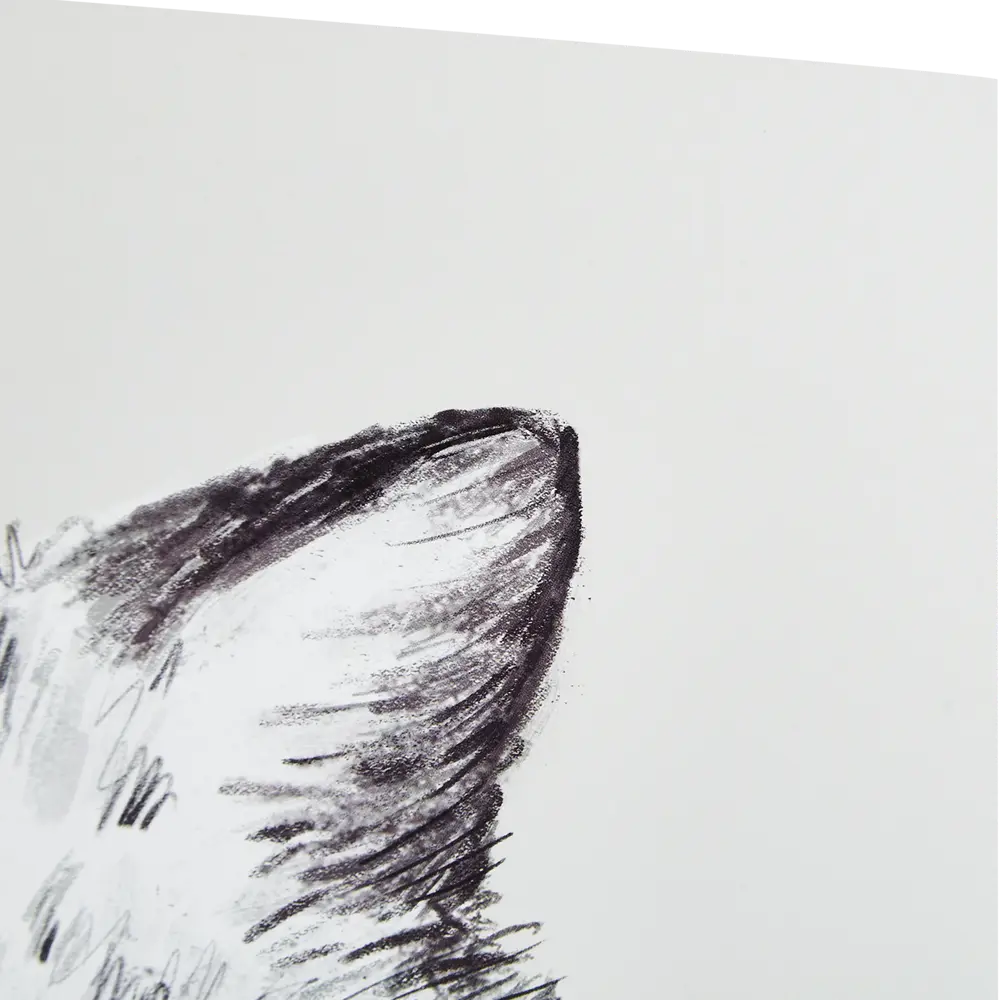 Постер Арт дизайн Коту виднее 30x40 см 2 шт STLM-2160418 - Вид №3