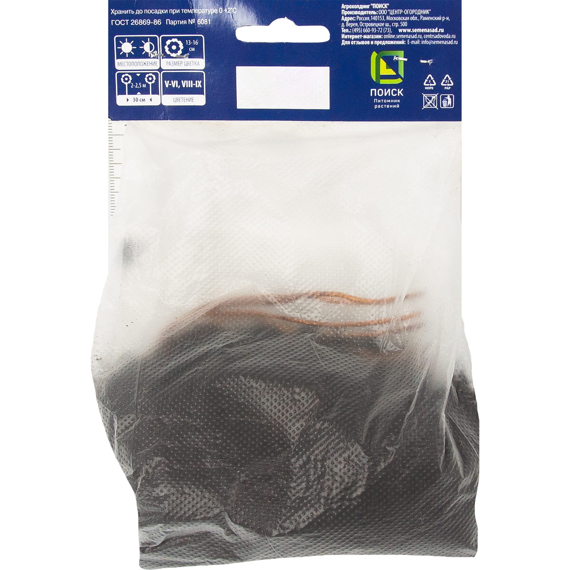 82527559 Клематис крупноцветковый Патрисия эн Фретвелл в капере Santreyd  - Вид №1