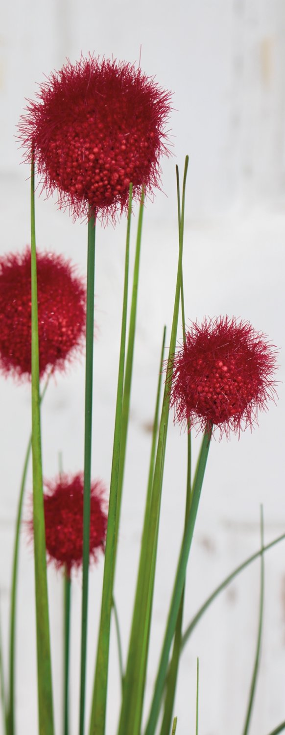 4945 444 a3 Мяч из искусственной травы, 75 см, красный H-andreas  - Вид №2