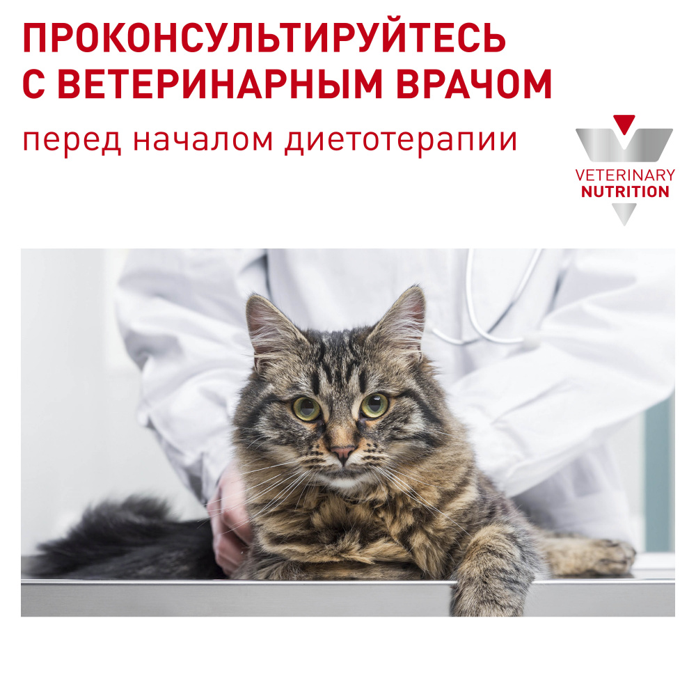ПР0053539 Корм для кошек Vet Diet Calm CC 36 Feline при стрессовых состояниях и в период адаптации сух.2кг ROYAL CANIN  - Вид №5