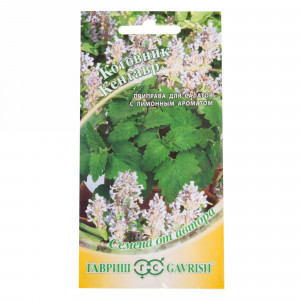 13901342 Семена Котовник «Кентавр»