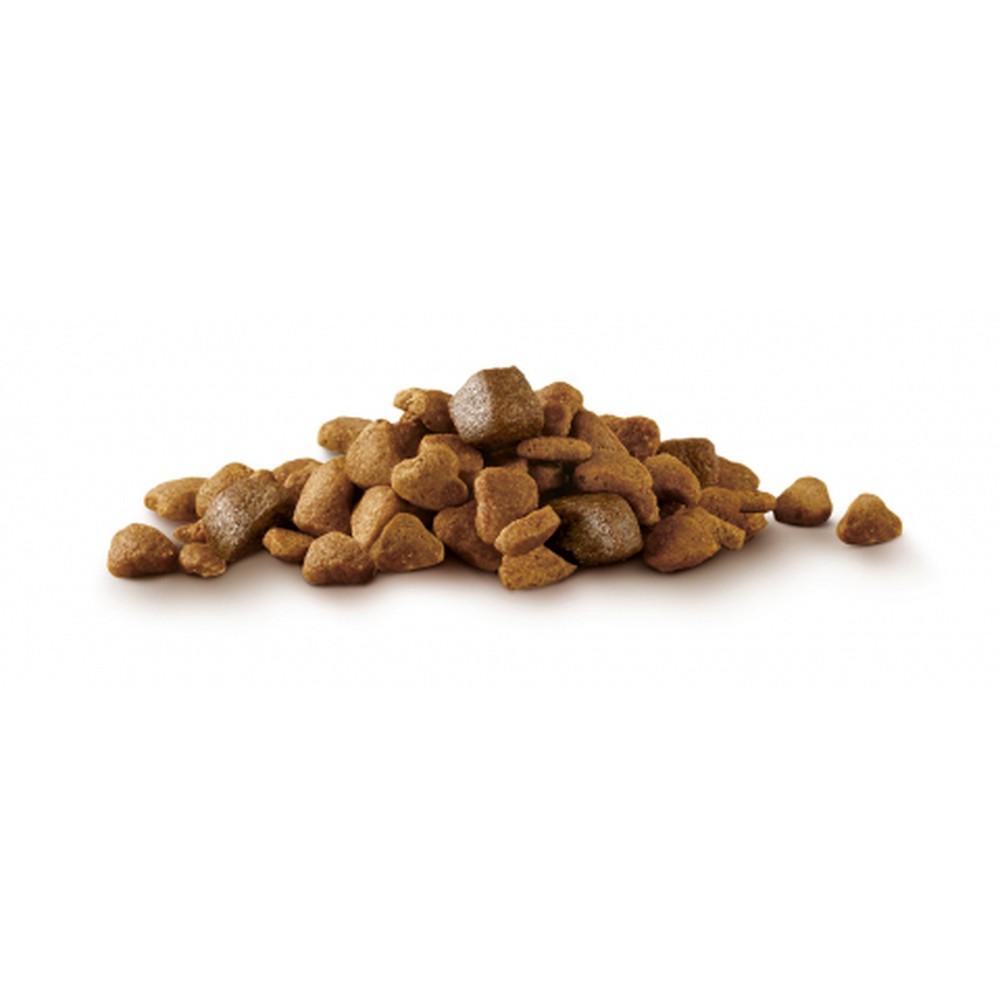 ПР0059698 Корм для собак для мелких пород, контроль веса, индейка, рис сух. 600г ONE  - Вид №8