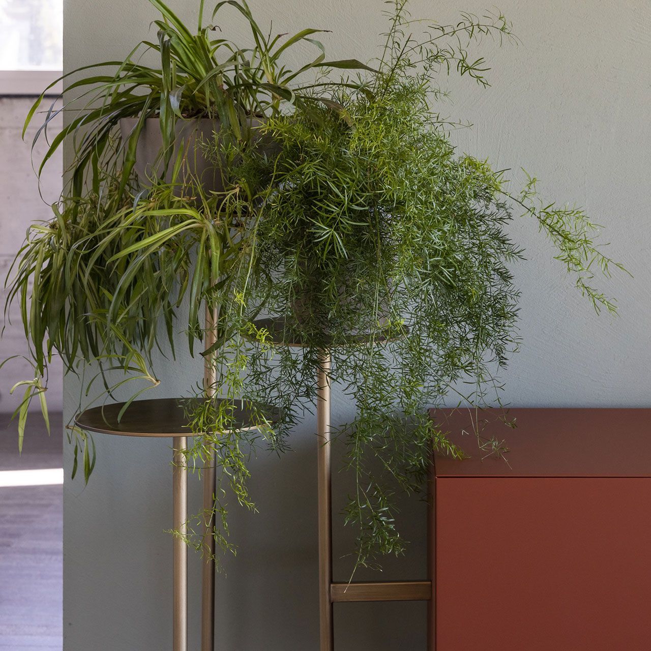 Шкаф из МДФ Mogg икебана ARCH-00128520 - Вид №16