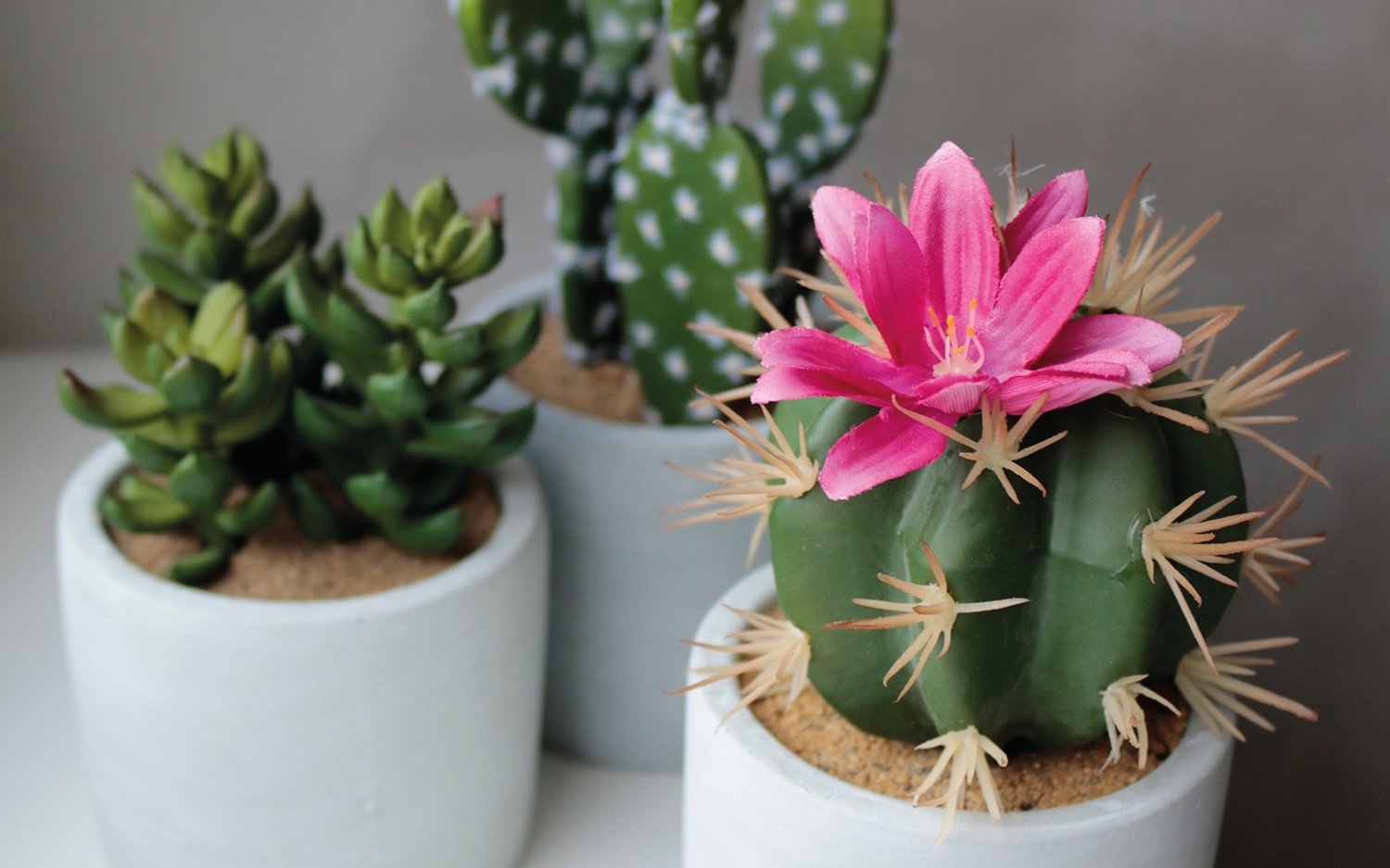 6068 883 a3 Пластиковые суккуленты-микс, в горшках, 3 шт., 10/14/17 см, зеленые H-andreas  - Вид №11