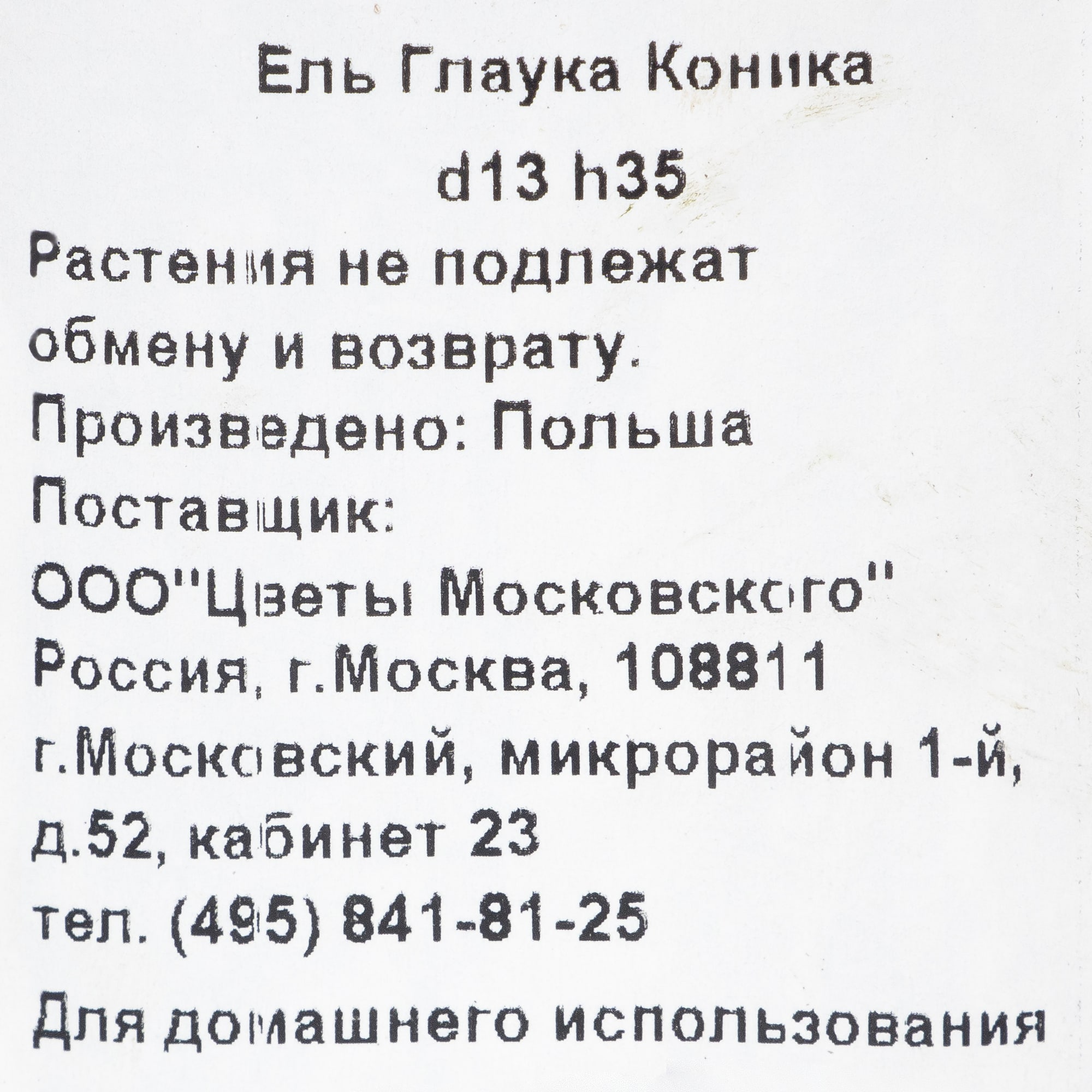 82219042 Ель Глаука «Коника» 1 л h35 см Santreyd  - Вид №1