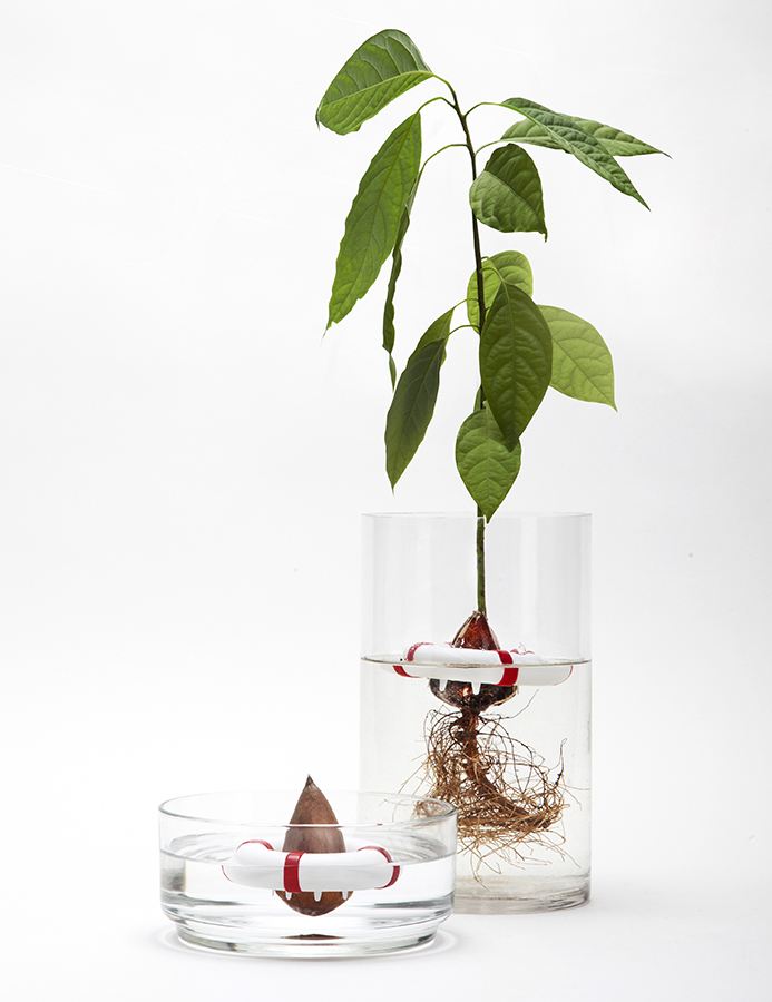 PE565 Проращиватель для авокадо seed guard Peleg Design  - Вид №4