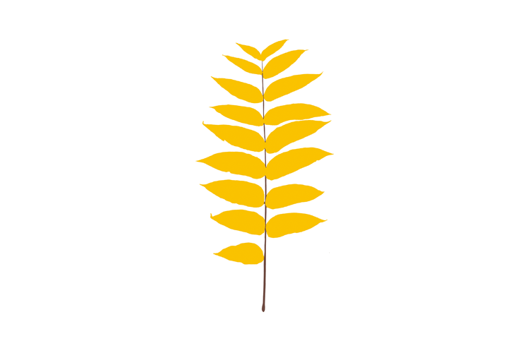 Уходит Magis sun-id-1328985 - Вид №4